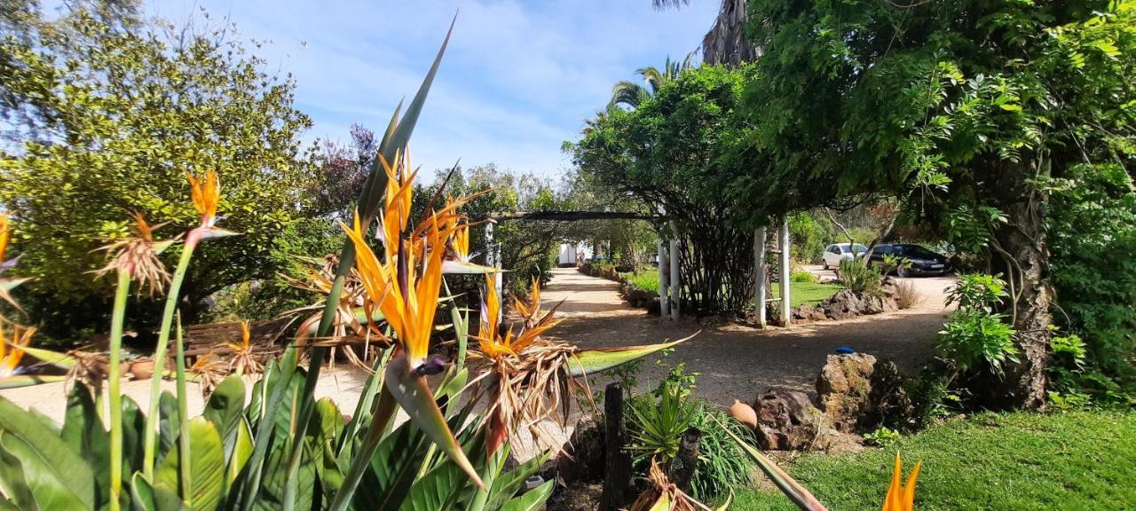 São Teotónio Quinta Do Paraiso מראה חיצוני תמונה